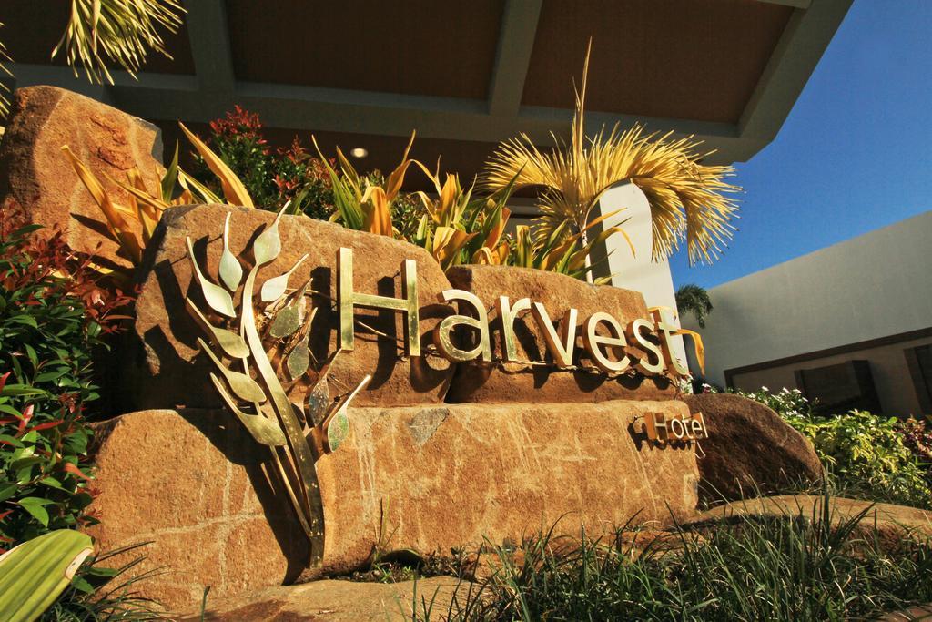 The Harvest Hotel Managed By Hii Cabanatuan City Exterior photo